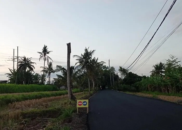 Neny's * Saba