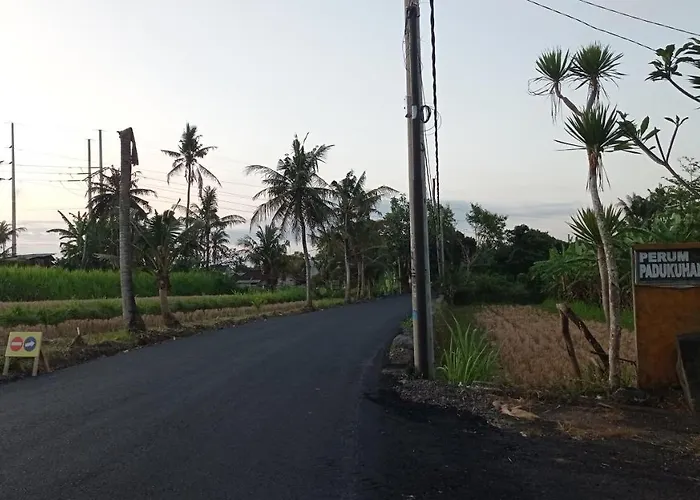 Neny's Saba