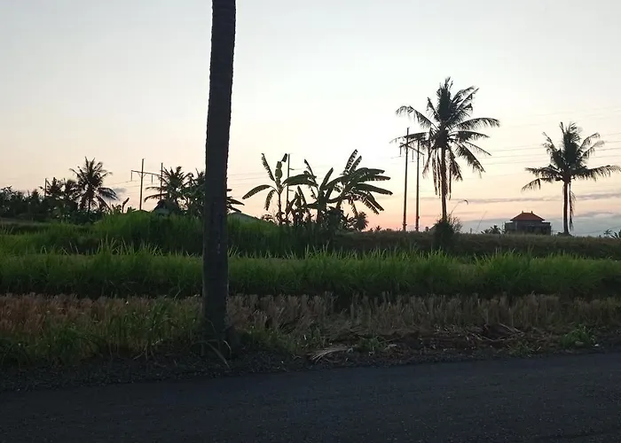 Neny's * Saba